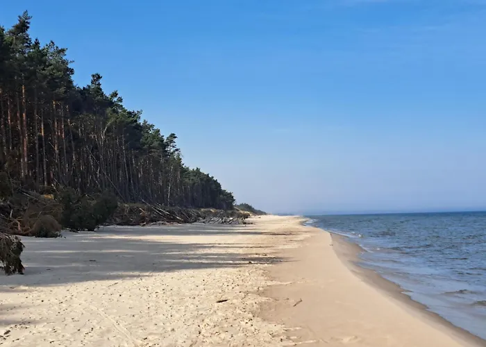 Semesterbostad Wilcza 4 Bezowy *